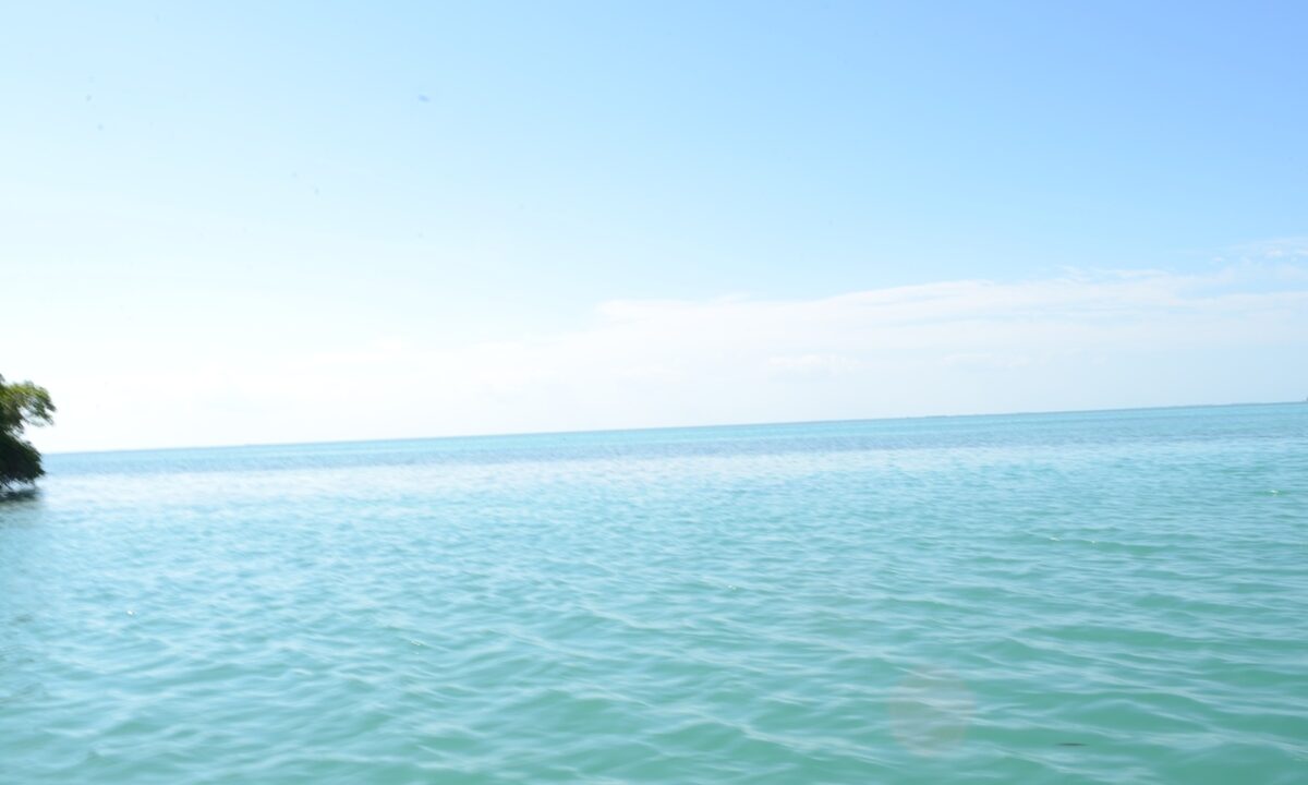 1022_17thesea