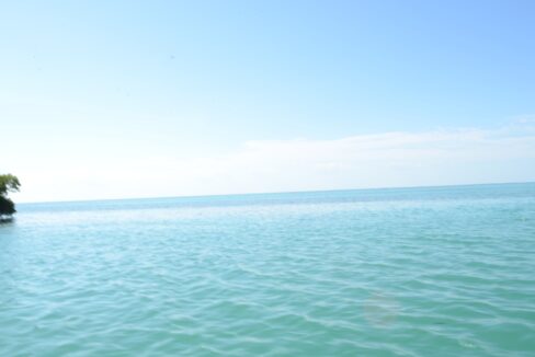 1022_17thesea