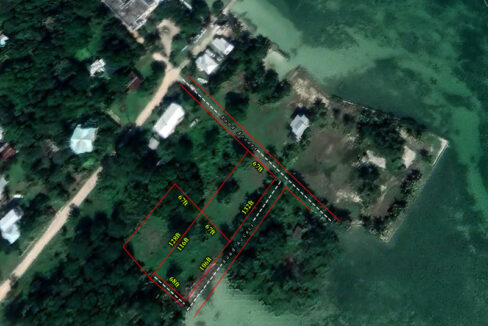 1134_100GoogleEarthClose