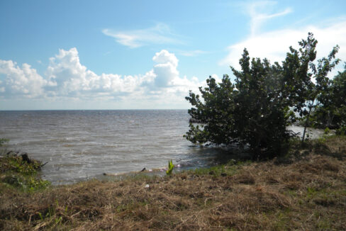 1134_4Seaview1