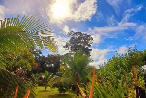 1150_1320garden