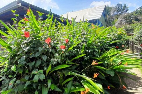 1150_1820bush