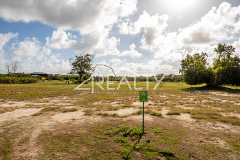 12016_428b0de8_original_5