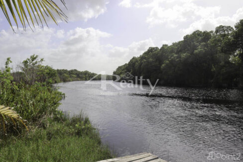 12016_4ebfa3a1_wm_full_3