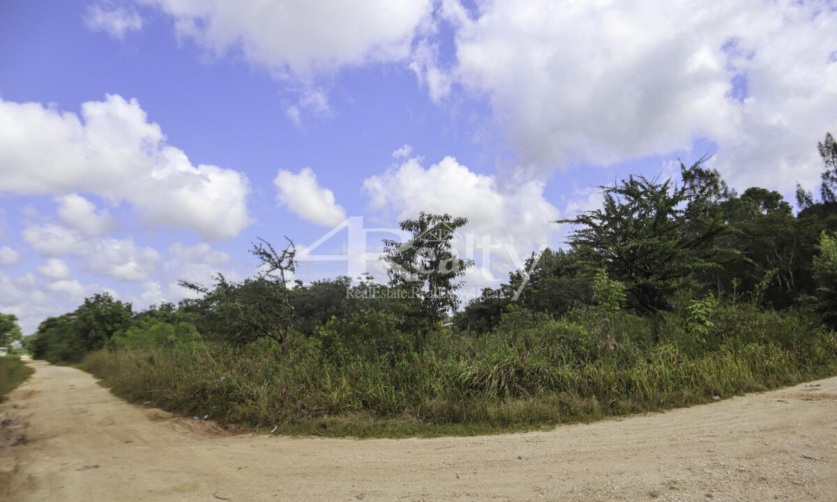 12016_537ceea4_original_2