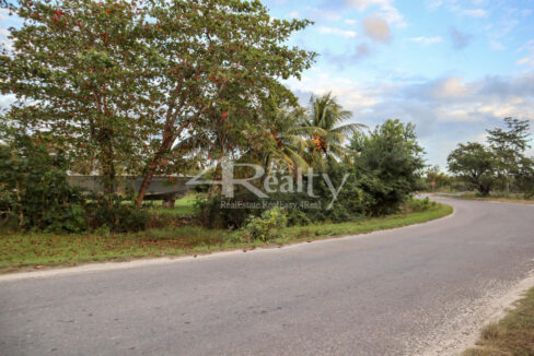 12016_55e571b2_original_10