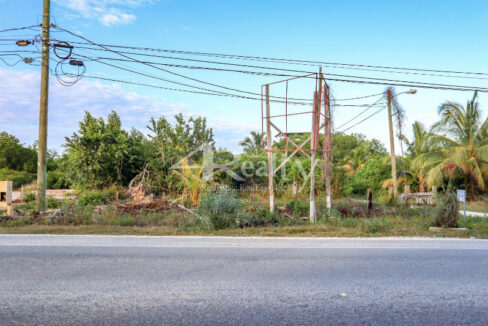 12016_596950a6_original