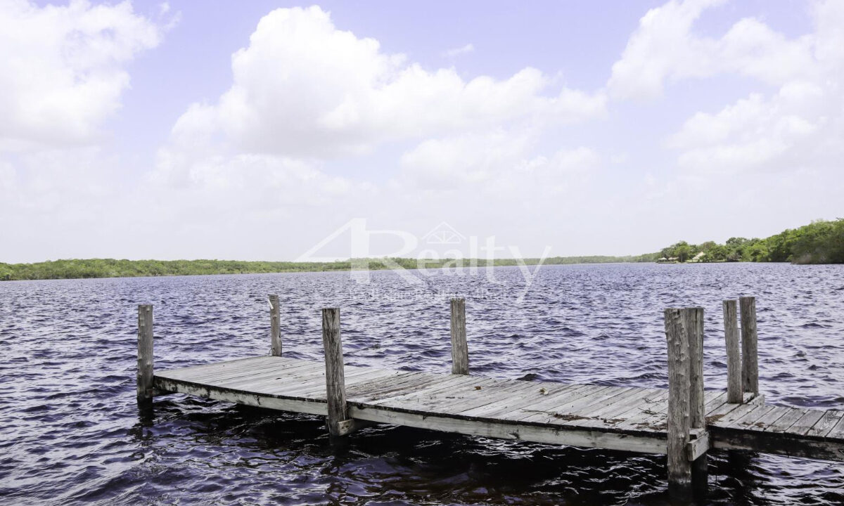12016_644d596c_original_5