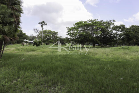 12016_7bd215c7_original_15
