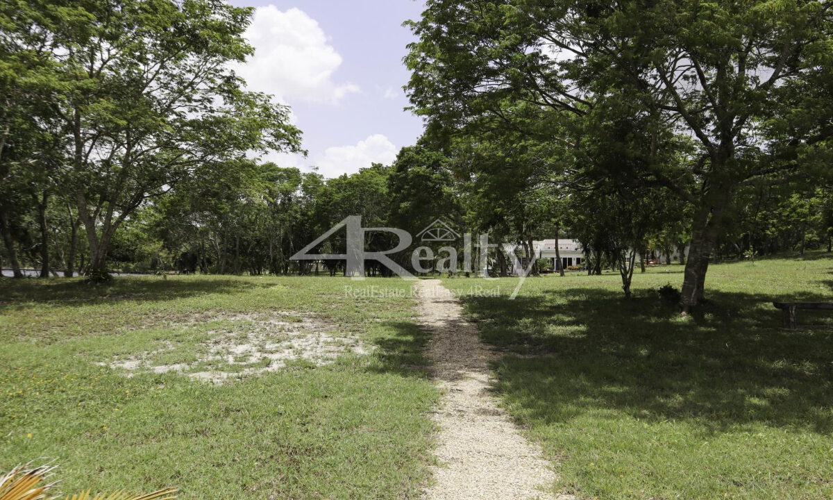 12016_84a17bea_original_16