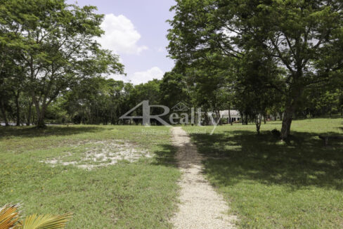 12016_84a17bea_original_16