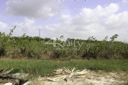 12016_84f7812a_wm_full_2