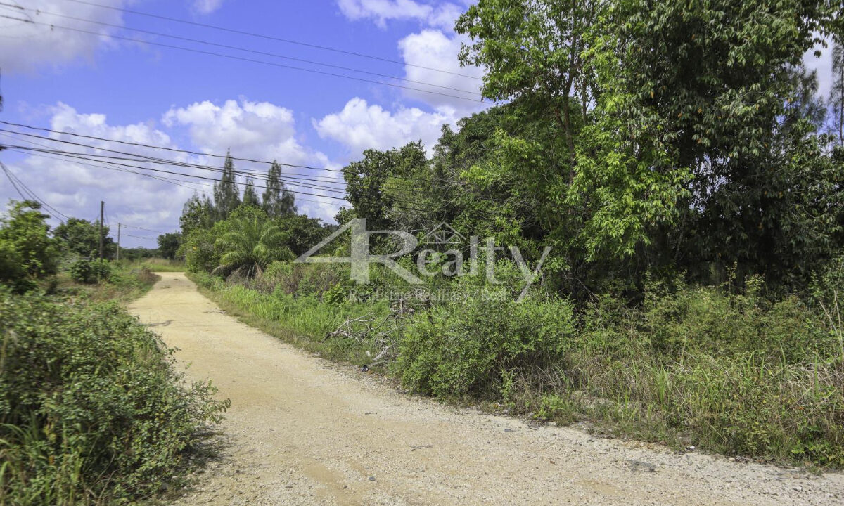 12016_888f3be0_original_5