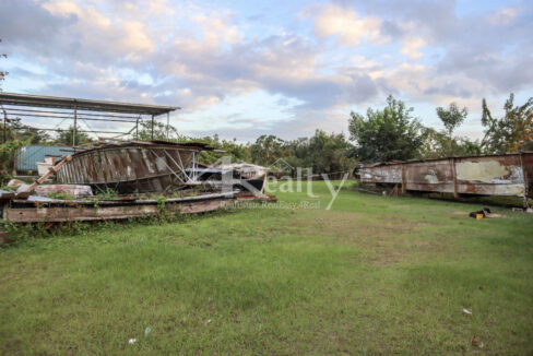12016_98d8df61_original_16