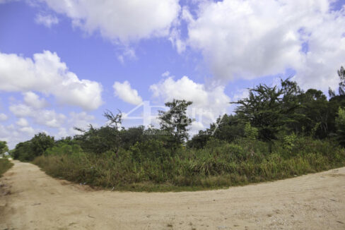 12016_a11445ae_original_9
