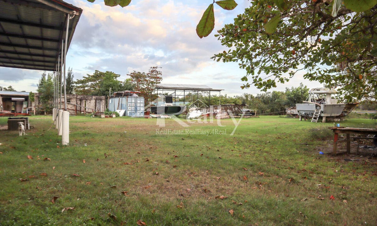 12016_a3ed0812_original_14