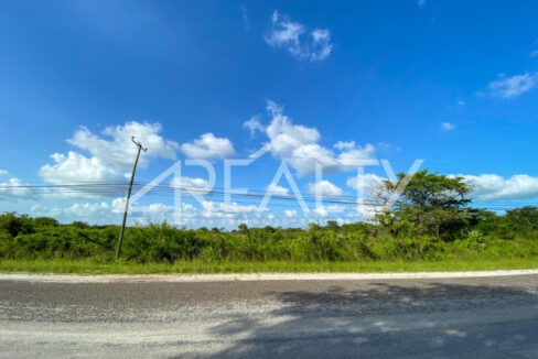 12016_ced76990_original_5