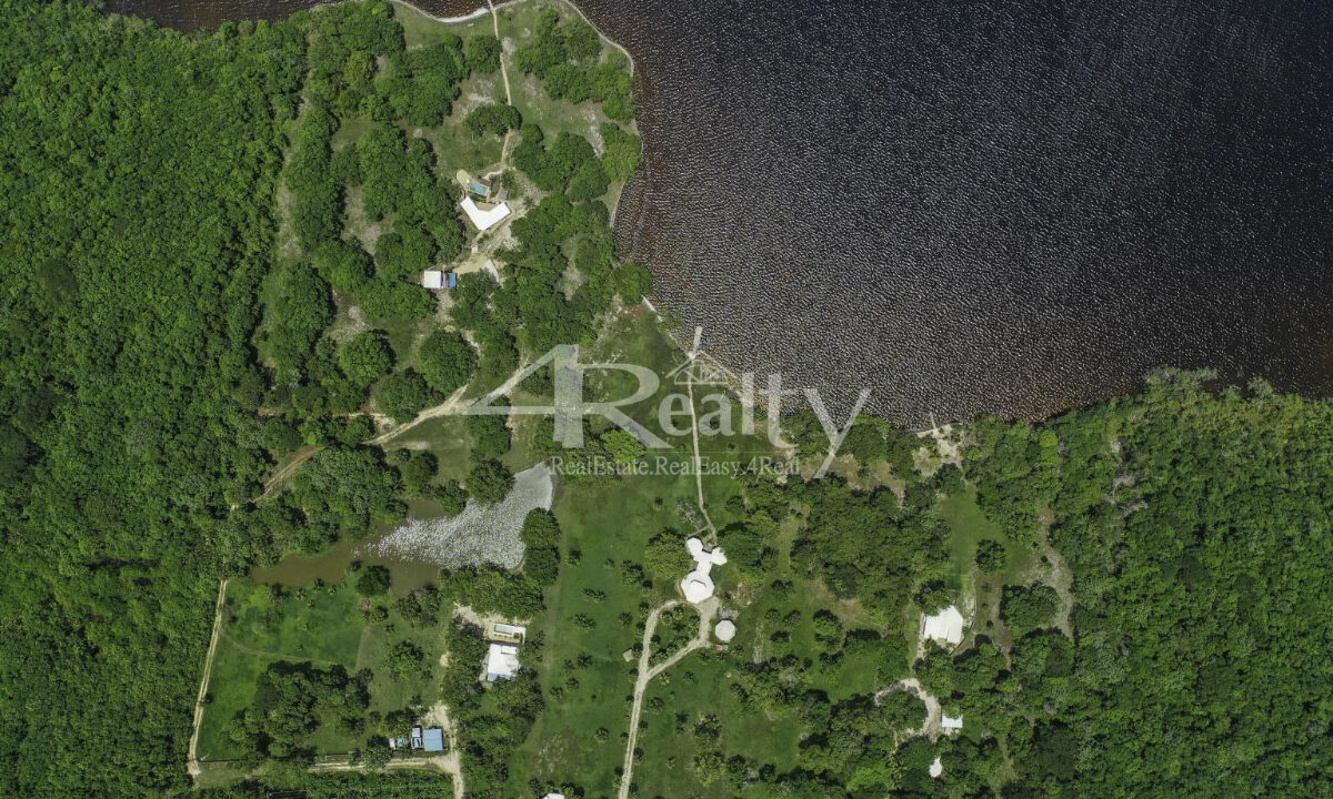 12016_e2556c85_original_22