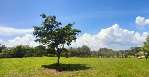 1211_520acres