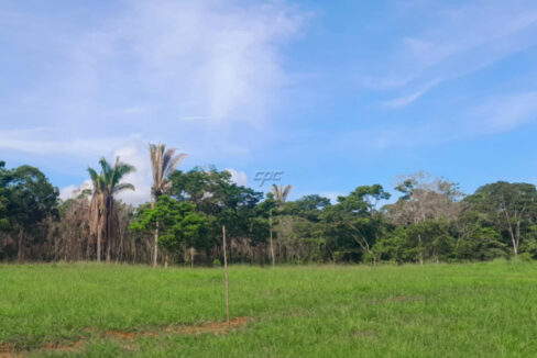 1211_520acres206