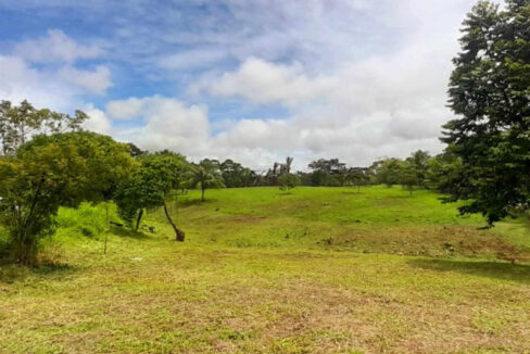 1211_520acres20n