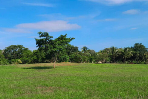 1211_520acressss