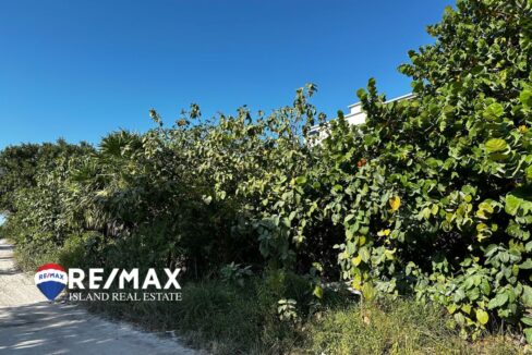 1278-west-side-of-parcel