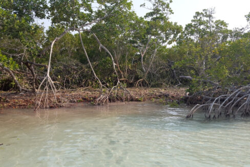 1400_10boattoland