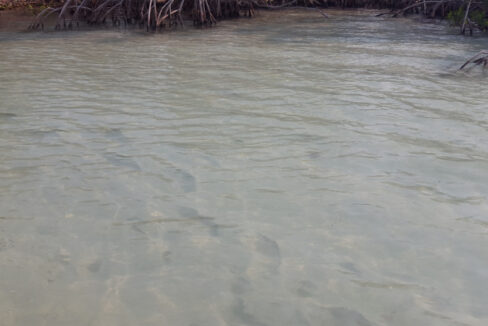 1400_11footsetpinthewater