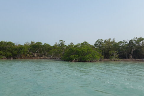 1400_13fromthesea2