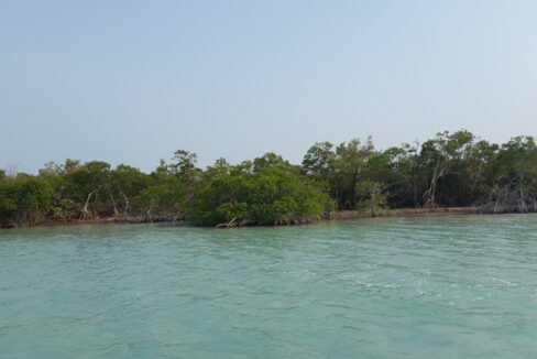 1400_14fromthesea3
