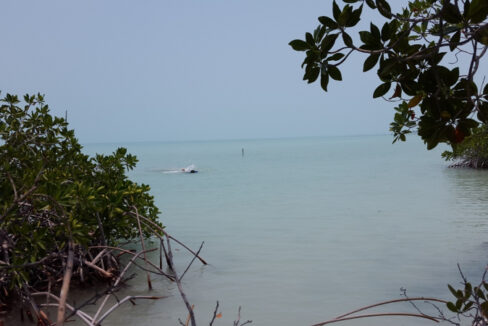 1400_8greenbluesea