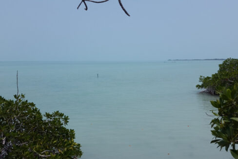 1400_9seaviewfromthetree