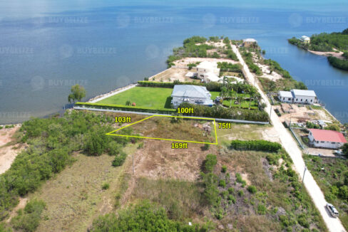 1431_2DroneView