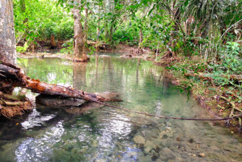 172_320Creek20view