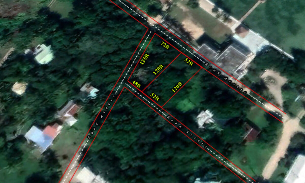 1919_100GoogleEarthClose