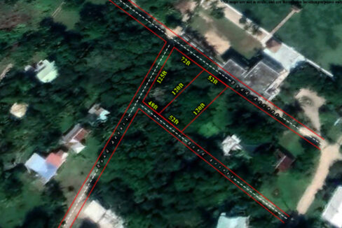 1919_100GoogleEarthClose
