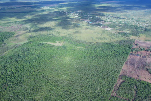 2-97-acres-of-jungle-belize