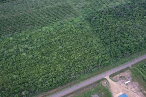 2-farm-in-hopkins-for-sale-belize