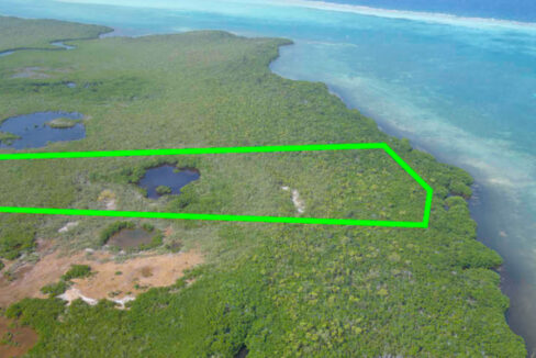 2-turneffe-island-for-sale