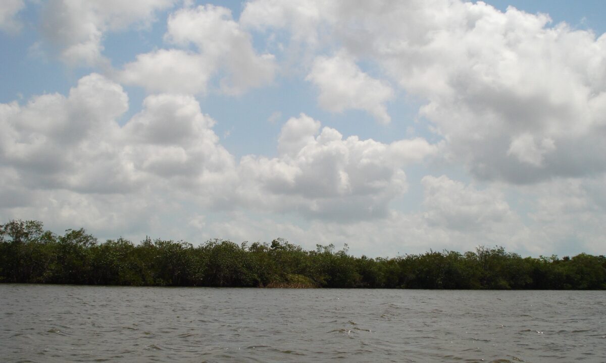 215_9mileslagoonbelizecity011