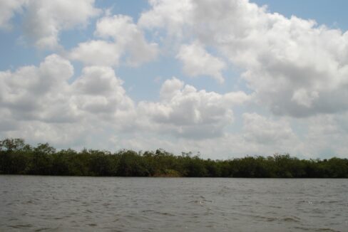 215_9mileslagoonbelizecity011