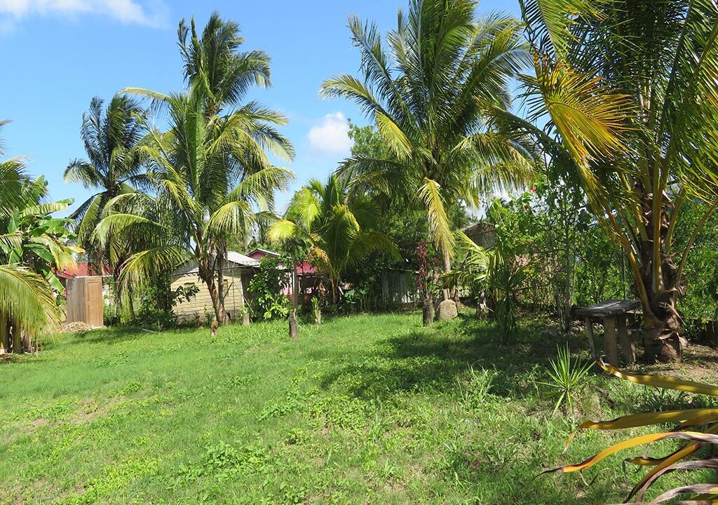 2341_20Lot207020feet20by2010020feet205