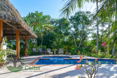 2360_swimmingpool