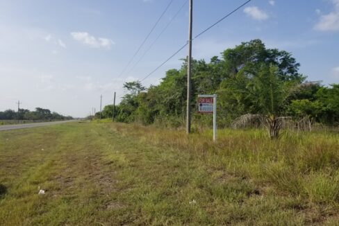 2402_1PropertyView