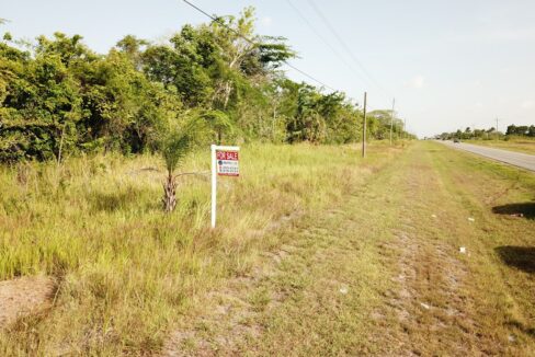 2402_2LandView