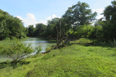 2413_River20Bank2015