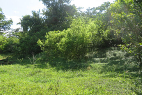 2413_River20Bank202