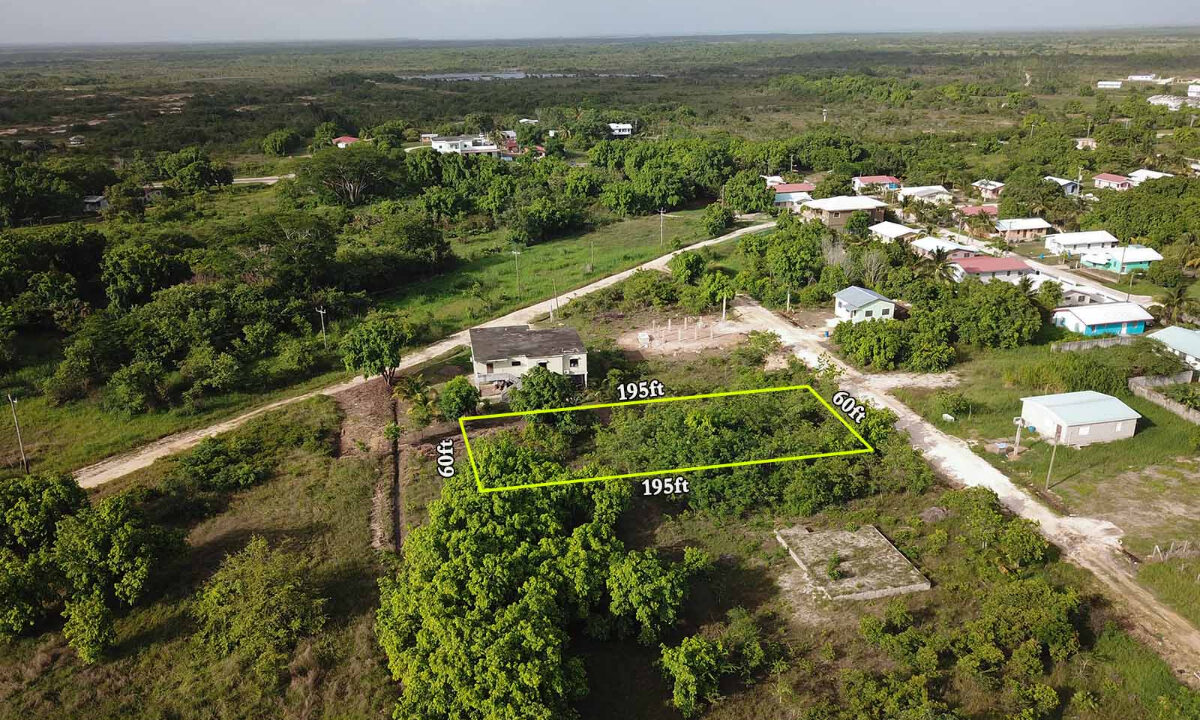 2429_220Drone20View