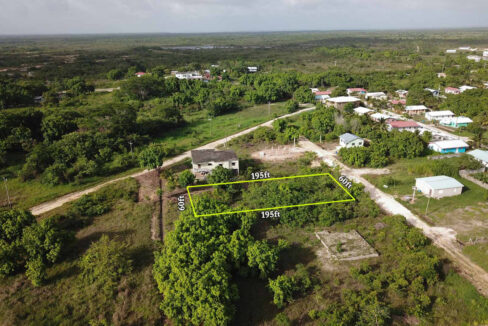 2429_220Drone20View